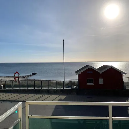 Strandoase Strandoase Strandmuschel *